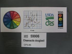Click for 1 image(s) for this accession. SEED